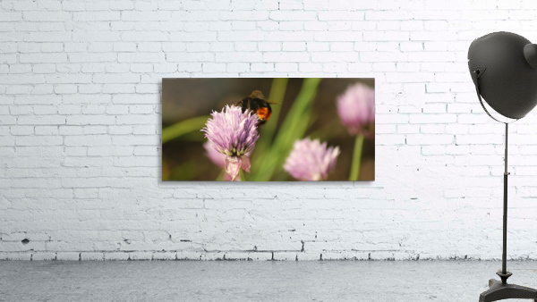 Bee sting Wall Preview