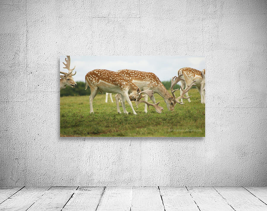Deer group Wall Preview