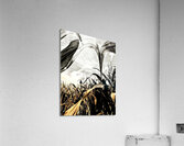 Fields of Contrast Acrylic Print
