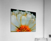Vivid Summer Acrylic Print