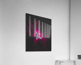 Velvet Glow Acrylic Print