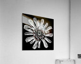Subtle Burst Impression acrylique