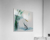 Heron Acrylic Print