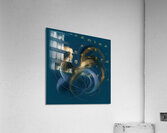 Morning Call Acrylic Print