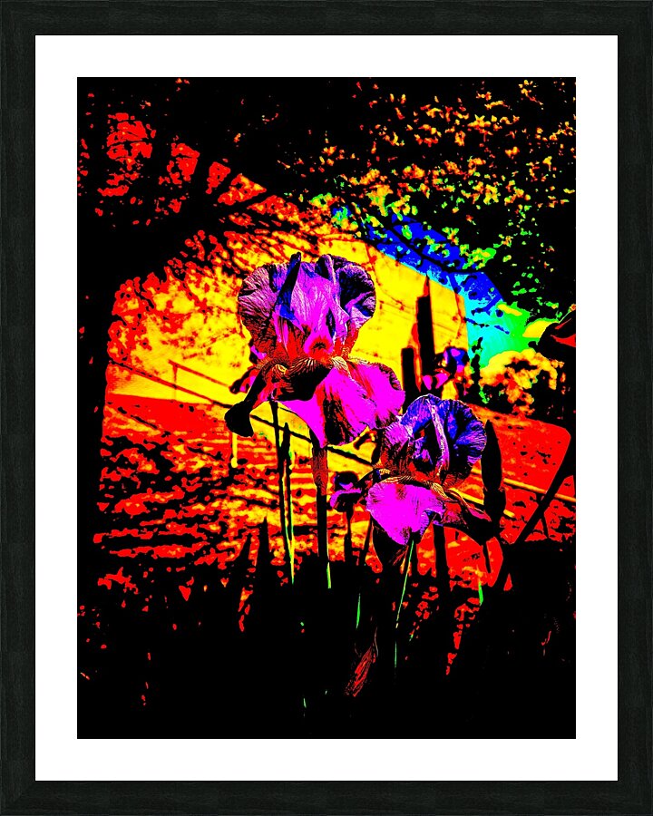  Fine Art print