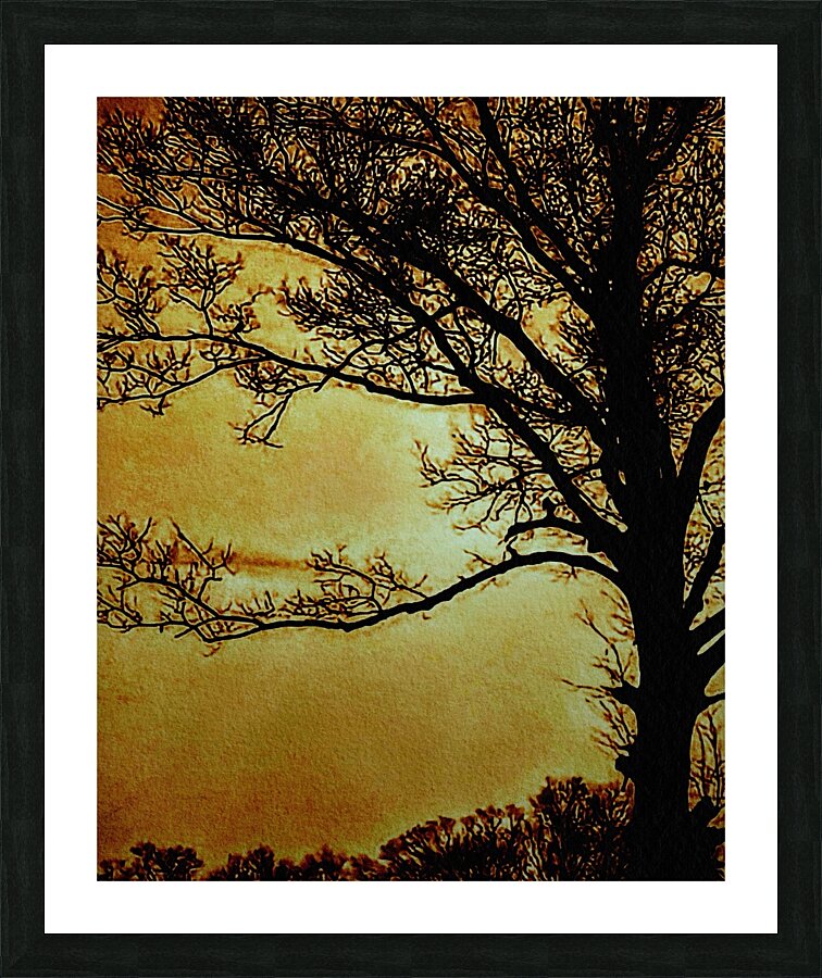  Fine Art print