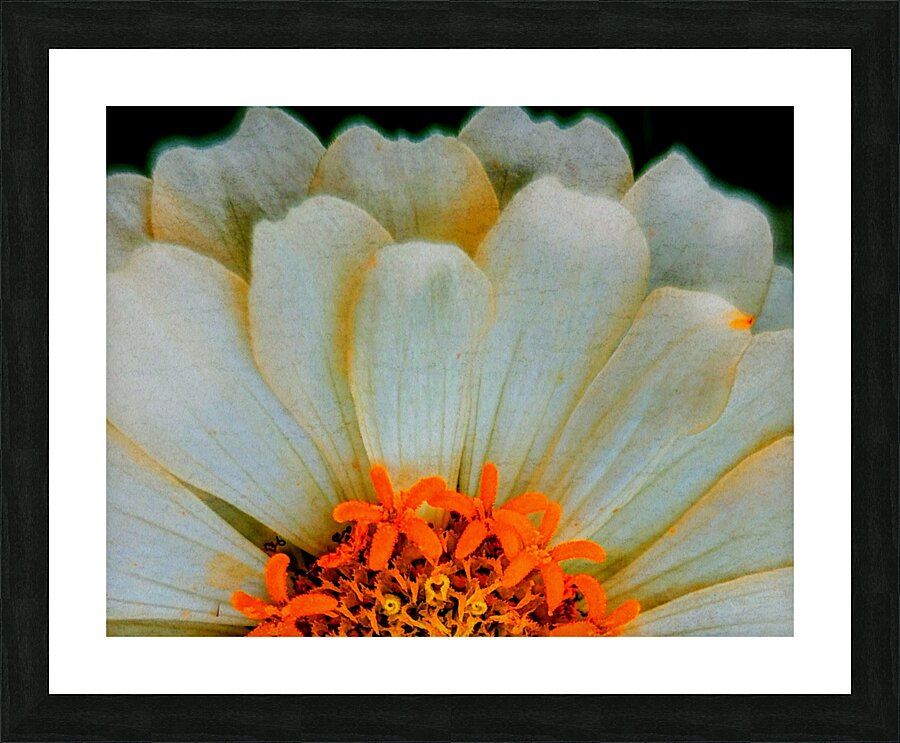 Vivid Summer Picture Frame print
