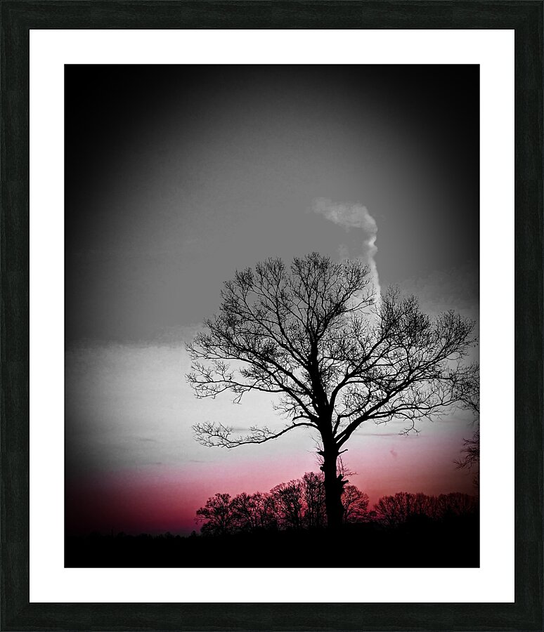  Fine Art print