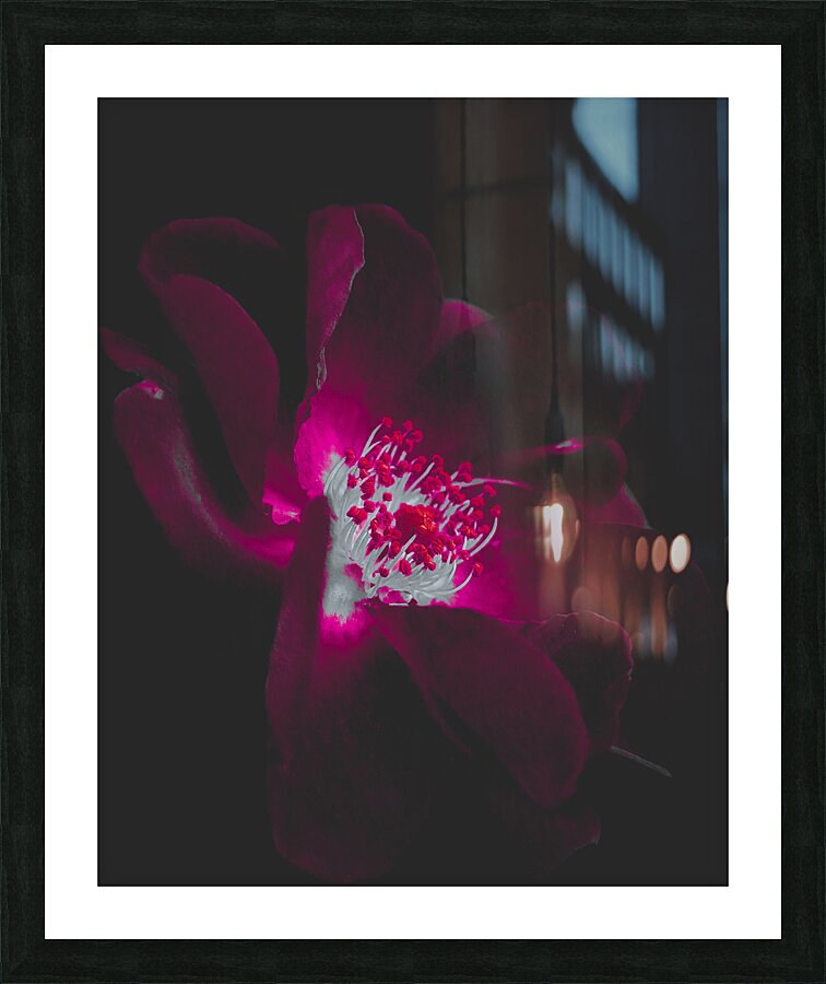 Velvet Glow Picture Frame print