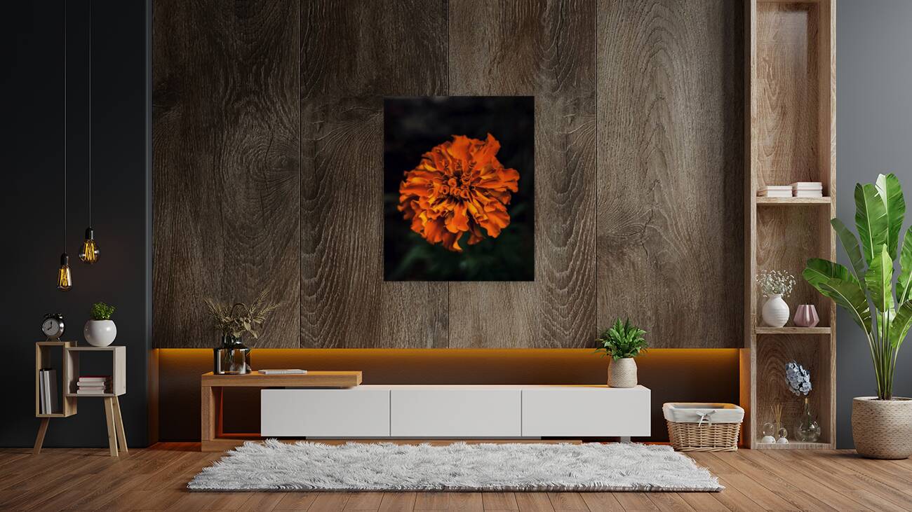 Marigold Reproduction