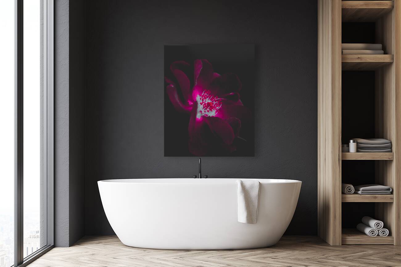 Velvet Glow Reproduction