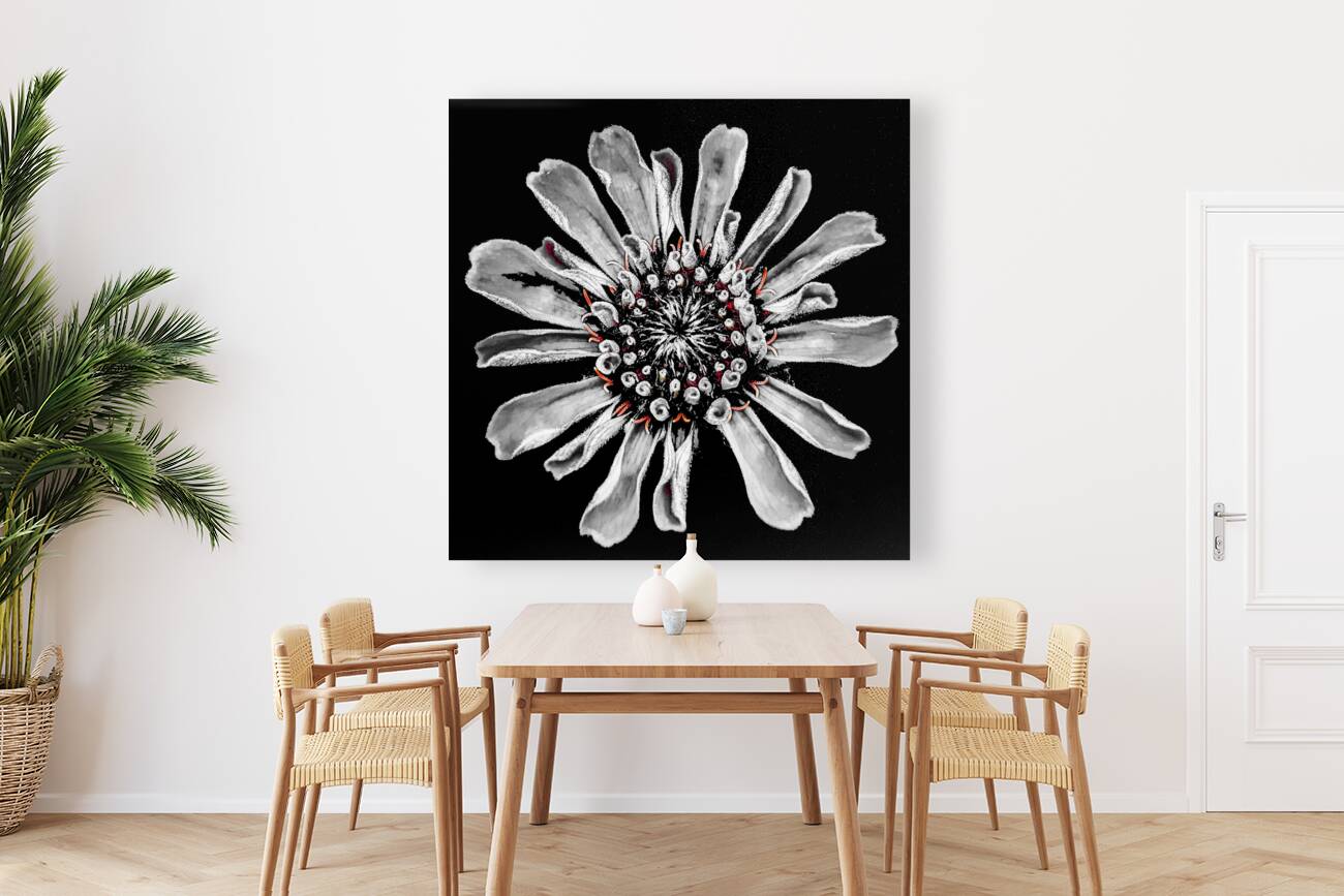 Subtle Burst Reproduction