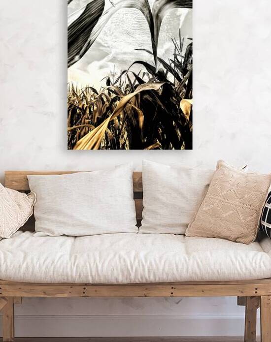 Fields of Contrast by Sandi McCartney
