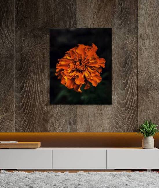 Marigold by Sandi McCartney