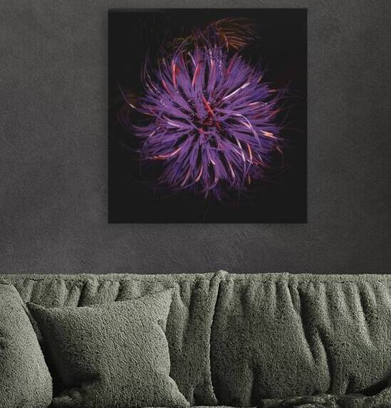 Violet in Descent by Sandi McCartney