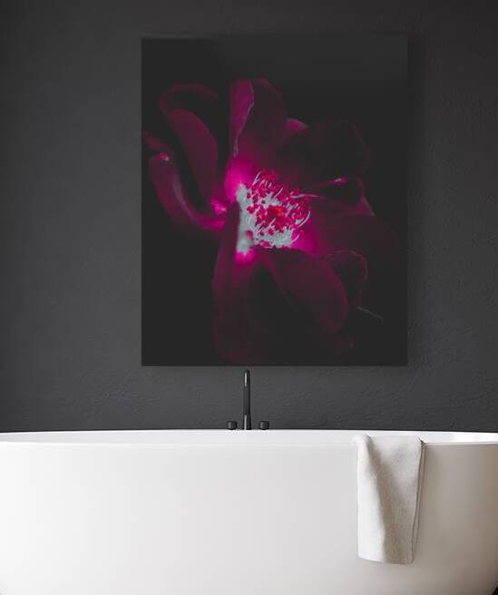 Velvet Glow by Sandi McCartney