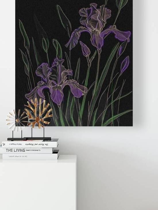Midnight Irises by Sandi McCartney