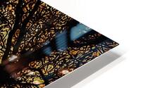 Autumn Awakens HD Metal print