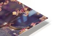 Summer Fade HD Metal print