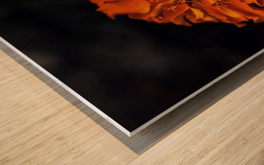 Marigold Wood print