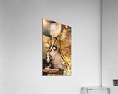 Activation  Acrylic Print