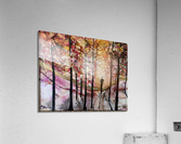 The Wanderer Acrylic Print