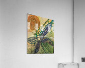 Joy Full Flight Acrylic Print