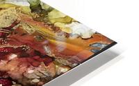 Galactic  HD Metal print