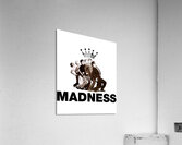 Madness 25 Acrylic Print