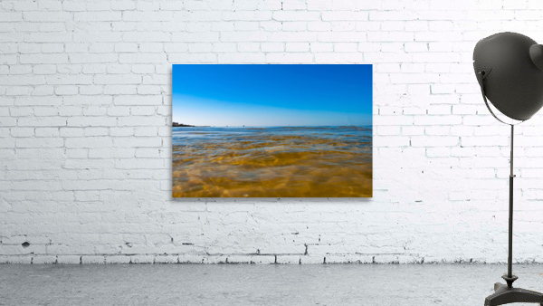 Beach Views Wall Preview