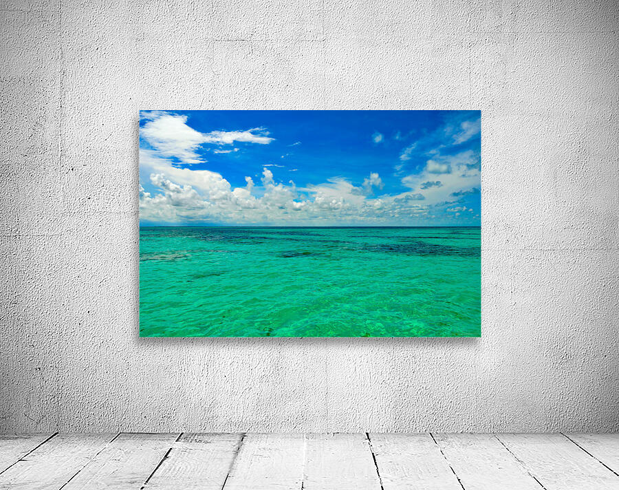 Open Water Wall Preview