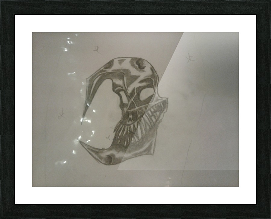 20170914_214434 Picture Frame print