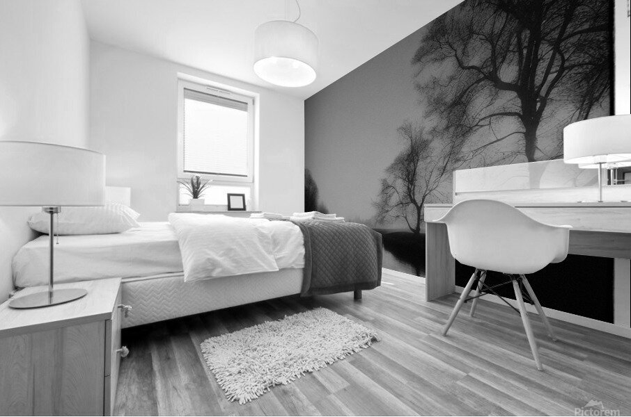 Mono 10 Mural print