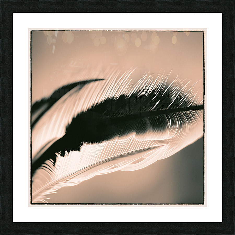 Plume 1 Picture Frame print