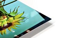 Still life 9 HD Metal print