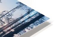 Hivernal 18 HD Metal print