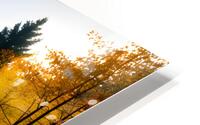 Estrie 21 HD Metal print
