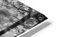 Bw 2 HD Metal print