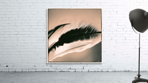 Plume 1 Wall Preview