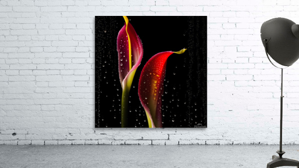 Flowers 2 Wall Preview