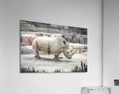 A rhinoceros in what appears to be a zoo or wildl Acrylic Print
