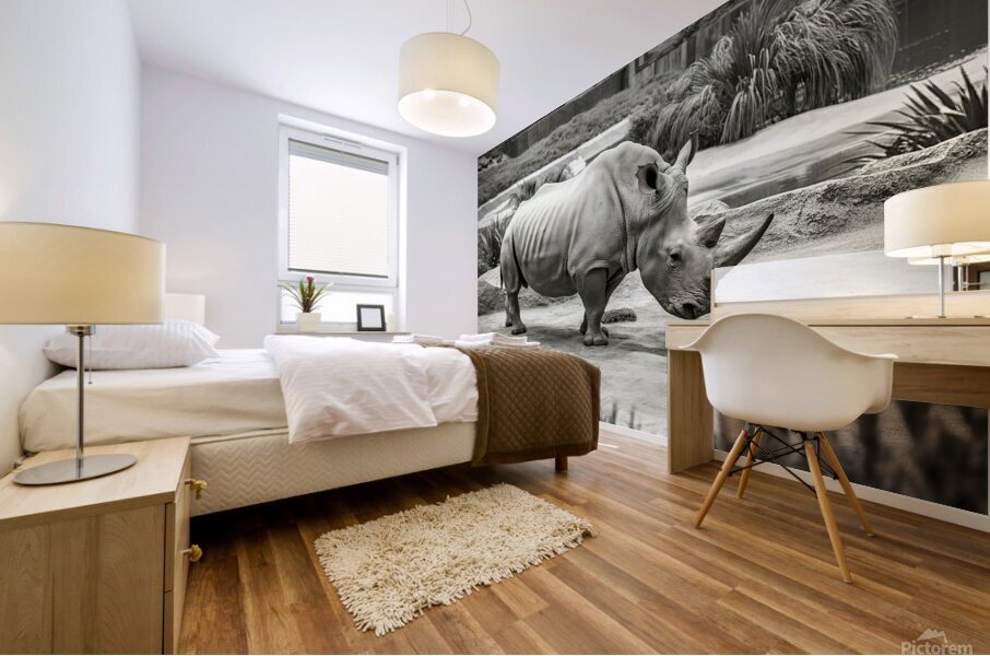 A rhinoceros in what appears to be a zoo or wildl Mural print