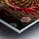 CS 6 Metal print