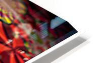 CS 6 HD Metal print