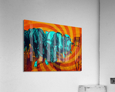 Coos Acrylic Print