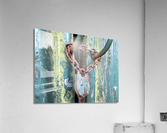 Once Upon A Time Acrylic Print