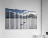Tundra Dog Acrylic Print