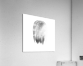 Pop Acrylic Print