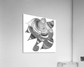 Now You Dont Acrylic Print