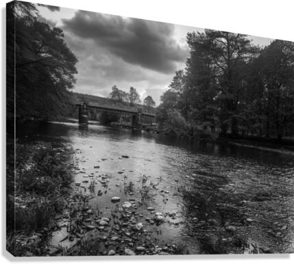 Under The Lake Canvas Print